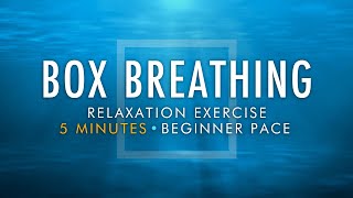 Box Breathing Relaxation Exercise  5 Minutes Beginner Pace  Anxiety Reduction Pranayama Technique [upl. by Ammadis]