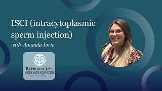 ICSI intracytoplasmic sperm injection with Amanda Iorio [upl. by Brinn290]