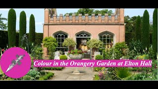 Colour in The Orangery Garden at Elton Hall [upl. by Alin]