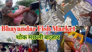 Bhayander Fish Market 🦀🐟🐠मछली बाज़ार भयंदर पश्चिम Whole sale Fish market Vedika Vlog😻 [upl. by Sybilla133]