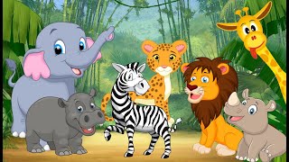 CUTE ANIMALS Elephant Zebra Lion Hippo CheetahRhino Giraffe [upl. by Jard]