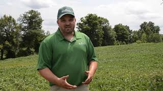 3 Understanding and Managing Field Variability in Soybean Production [upl. by Maren701]