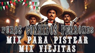 50 Exitos Puros Corridos Perrones Para Pistear Mix Viejitas [upl. by Paris996]