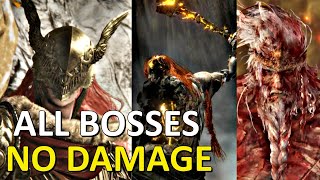 ELDEN RING  All Boss Fights NO DAMAGE  ALL BOSSES Vs Master Samurai Build [upl. by Dott337]