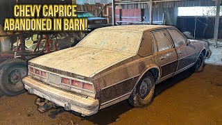 First Wash in 18 Years Caprice Classic Barn Find  Car Detailing Restoration [upl. by Wiseman]