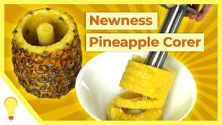 Newness Pineapple Corer [upl. by Natsirk157]