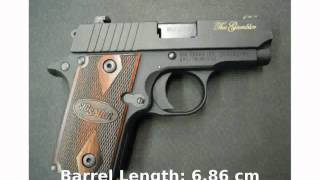 SIG Sauer P238 Gambler 380 Auto Pistol Specs amp Details [upl. by Reppep881]