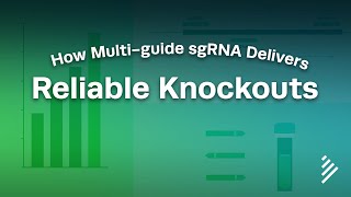 How Multiguide sgRNA Delivers Reliable Knockouts [upl. by Rock397]