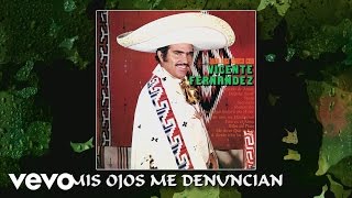 Vicente Fernández  Mis Ojos Me Denuncian Cover Audio [upl. by Uok248]