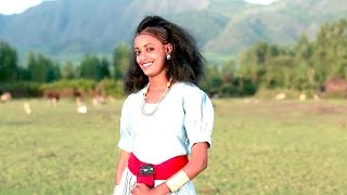 Ethiopian  Umer Ali  Zemuye  ዘሙዬ  New Ethiopian Music 2016Official Video [upl. by Siro]