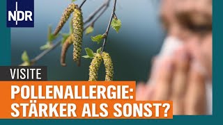 Pollenallergie Was hilft gegen Heuschnupfen  Visite  NDR [upl. by Ishii680]