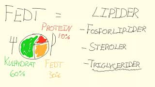 Biokemi  Triglycerider  Biotech Academy [upl. by Yespmed]