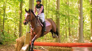 SGW Dijkgatbos klasse B paarden 25062023 FOUTLOOS 🤩 [upl. by Nareik]