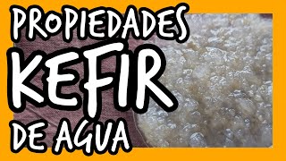 🥇Propiedades del KEFIR de AGUA🩺 [upl. by Erdah]