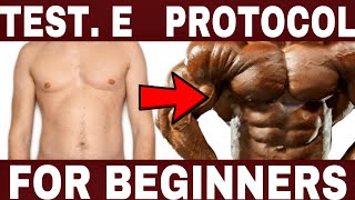 Testosterone Enanthate Cycle For Beginners  Lenght  Syringe  Frequency  w Dr Tony Huge [upl. by Anahsak]