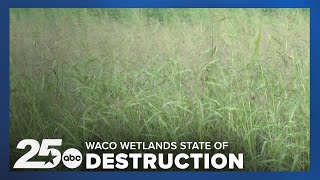 Lake Waco Wetlands in state of destruction as the area celebrates its 20th anniversary [upl. by Joela]