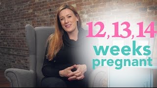 12 13 14 Weeks Pregnant  Ovia Pregnancy [upl. by Hnilym]