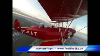 Aerobatic Flight with wwwFeelTheSkybe [upl. by Chantalle]