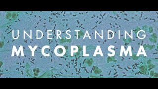 What the heck are they spraying on us Mycoplasma Explained Part 1 [upl. by Obeng194]