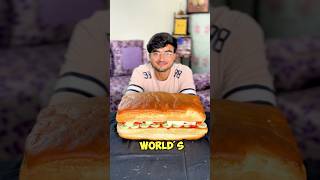 I Made The Biggest Sandwich [upl. by Asa]