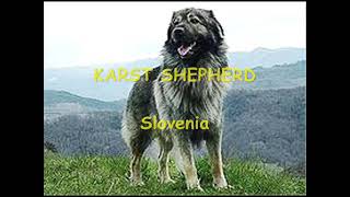 DOG BREEDS that start with the Letters quotK and Lquot GREAT MUSIC best viewed on regular screen [upl. by Adieren]