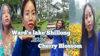 Wards lake ShillongCherry Blossom  Police Bazar Shillong Meghalaya  Karbi  Klir KT vlogs [upl. by Dlanger]