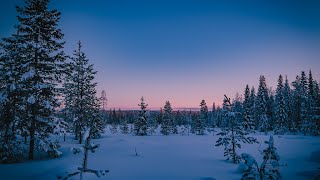 Magical LAPLAND 2022  Aftermovie [upl. by Ailemap]