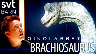 Brachiosaurus Dinolabbet [upl. by Meirrak]