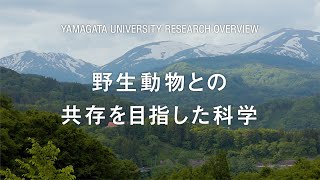 【山形大学】研究紹介2023：江成広斗（農学部担当） [upl. by Eeniffar]