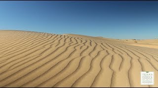 Park Pick Monahans Sandhills State Park [upl. by Sweatt537]