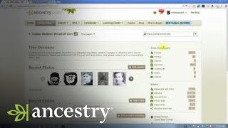 Correcting Mistakes in Your Own Family Tree  Ancestry [upl. by Hirsch937]