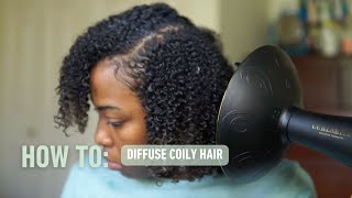 How to Diffuse Coily Hair  Stretch Diffusing  Curlsmith [upl. by Yssirc]