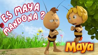 ¿LE GUSTA DEMASIADO A MAYA DAR ÓRDENES🫡🫡 MEJORES CAPÍTULOS DE MAYA para niños en ESPAÑOL 🐝 [upl. by Alexandre]