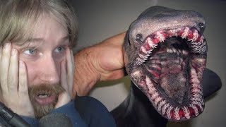 Rating The Worlds Scariest Videos amp Pictures 5 [upl. by Bartlet]