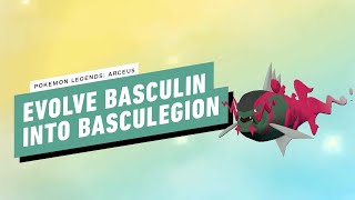 Pokemon Legends Arceus  How To Evolve Basculin Into Basculegion [upl. by Tran]