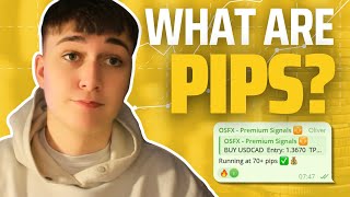 Forex Pips Explained A Beginners Guide [upl. by Arikihs254]