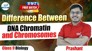 Difference Between DNA Chromatin and Chromosomes  Class 9 Biology  LIVE  InfinityLearn910 [upl. by Spike]