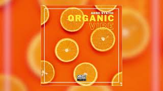 Adrii Static  Organic Vibe Clean [upl. by Maffa]