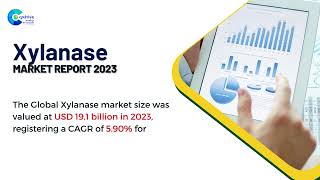 Xylanase Market Report 2023  Forecast Market Size amp Growth [upl. by Ellives]