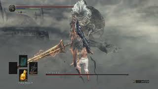 Dark Souls 3 Nameless King no hit [upl. by Aliuqet377]