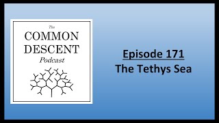 Episode 171  The Tethys Sea [upl. by Sherline372]