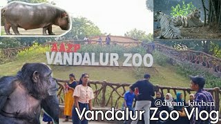 VANDALUR ZOO  ARIGNAR ANNA  ZOOLOGICAL PARK  Chennai Diyani kitchenDiyani kitchen and vlog [upl. by Addie]