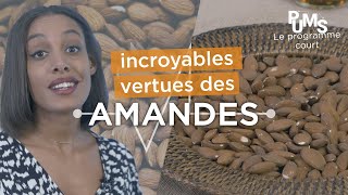 Noix amandes… les fruits à coques  intérêts pour une meilleure santé pums [upl. by Maurili]