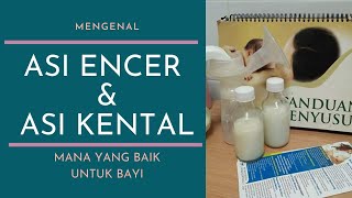 Macammacam ASI  Kenali apa Itu Hindmilk dan Foremilk [upl. by Zedekiah252]