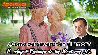 ¿Cómo perseverar en el amor  Padre Angel Espinosa de los Monteros LC [upl. by Aihsem]