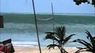 2012 Tsunami Indonesia Video [upl. by Adnamal759]