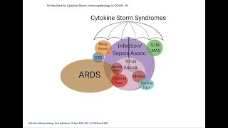 Macrophage Activation Syndrome by DrAbdulrahman AlRasheed [upl. by Eelidnarb]