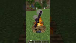 Burning Netherite Sword Logic in Minecraft shorts meme memes [upl. by Lachlan]