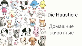 Домашние животные Бесплатный урок Die Haustieredeutsch new deutschfürkinder haustiere [upl. by Elwyn933]