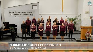 Horch Die Engelchöre singen [upl. by Debora]